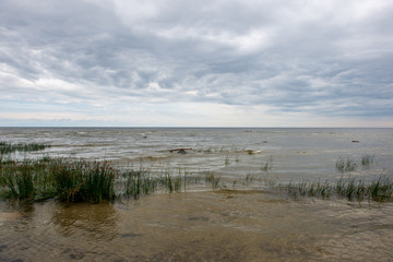 Fototapeta na wymiar empty sea beach with rocks and grass