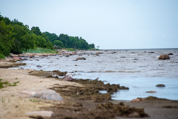 empty sea beach with rocks and grass