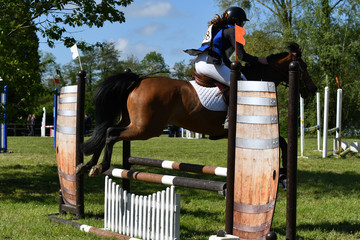 concours hippique avec saut d'obstacles