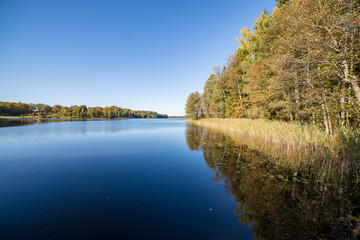 reflections of shore trees in the calm water of a lake