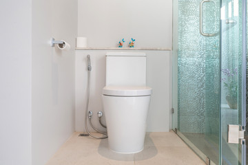 Naklejka na ściany i meble Luxury bathroom feature toilet bowl home, house ,building