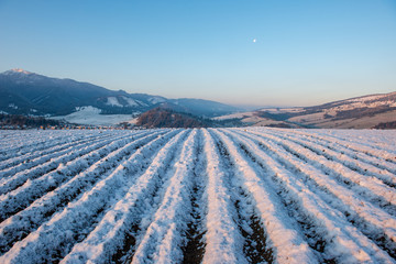 Obraz premium fields and forests covered in snow in winter frost