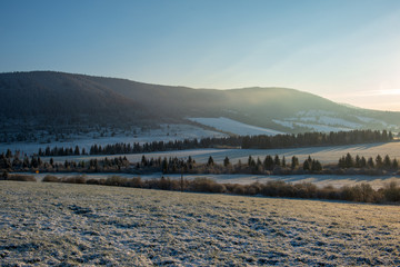 fields and forests covered in snow in winter frost