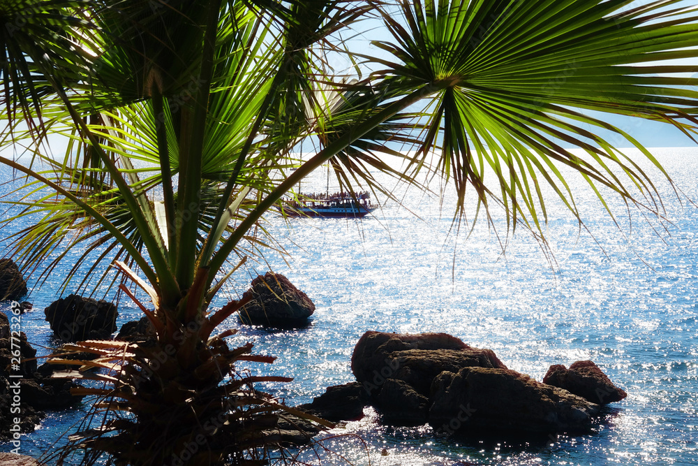 Wall mural mediterranean seascape image with palm tree and sailing boat over sunny blue sky