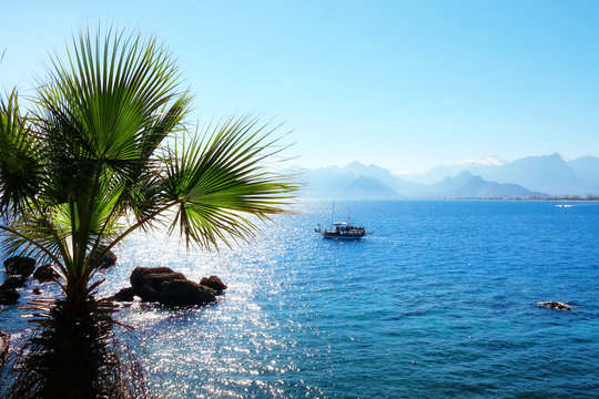 Mediterranean seascape image with palm tree and sailing boat over sunny blue sky