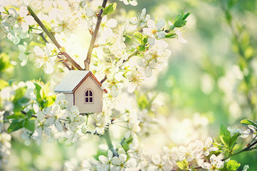 mini toy house and cherry flowers. house on spring nature background. concept of mortgage,...