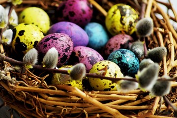 multi-colored quail eggs painted for Easter are in a basket with willow.