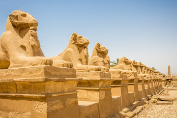 Naklejka premium Ram-headed sphinxes line the road outside the temple in Karnak, Egypt