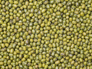 Mung beans background texture, background pattern