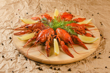 cancers on board on the craft paper background