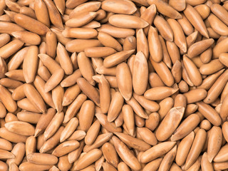 Pine nuts on white background