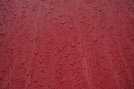 Close Up Of Rain Drops On The Hood Of A Red Car