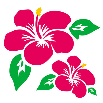 ハイビスカス Images Browse 12 948 Stock Photos Vectors And Video Adobe Stock