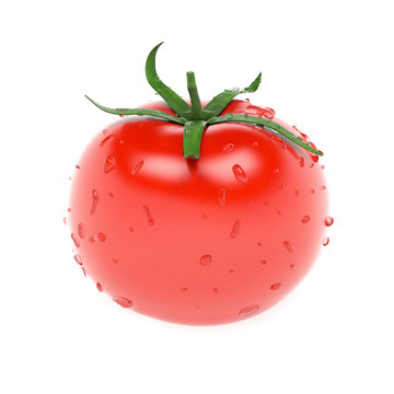 Tomato. With water drops. 3d rendering illustration isolated