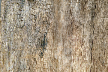 Fototapeta premium Old wood texture with crack