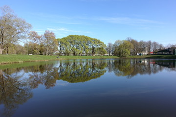 sky, spring, lake, trees