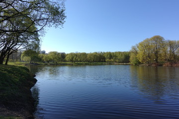 Fototapeta na wymiar sky, spring, lake, trees