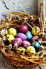 multi-colored quail eggs painted for Easter are in a basket with willow.