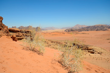 Jordan, Wadi Rum