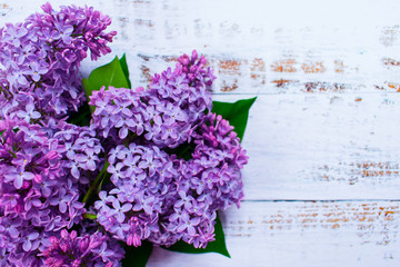Purple lilac flowers on white wooden background.Copy space