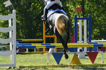 saut d'obstacle dans un concours hippique