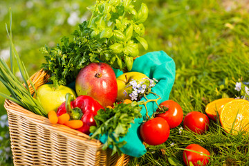 Fresh organic vegetables in wicker basket in the garden