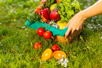 Female hands holding wicker basket with vegetables and fruits, close up