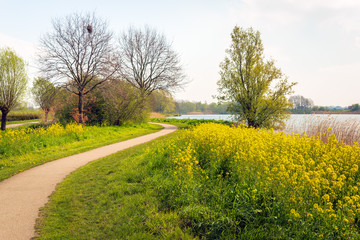 Winding path through a park in springtime