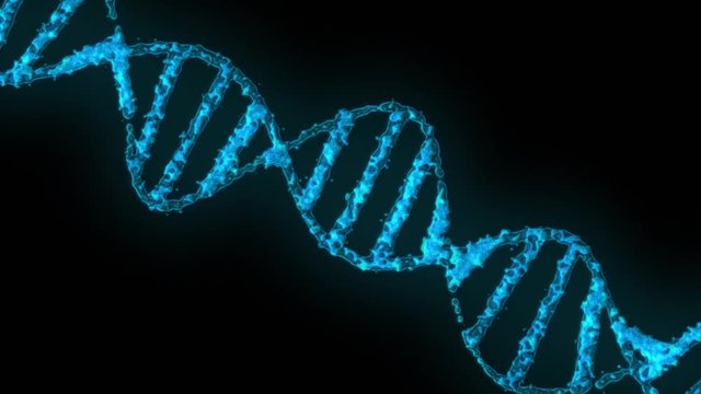 Animated human DNA