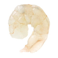 Raw Jumbo Shrimp on a White Background