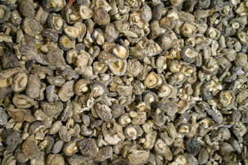 a pile of dried shiitake mushroom