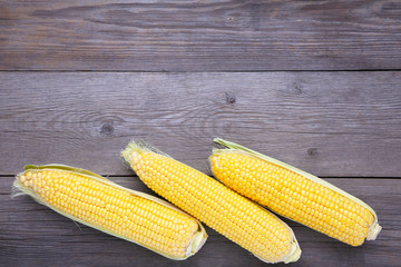 Fresh corn on a grey wooden background