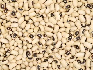 Black-eyed Beans texture background