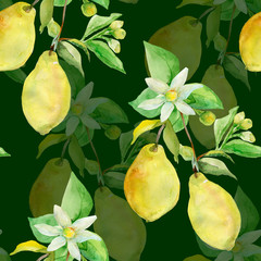 Seamless Pattern lemon on white and color background.