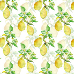 Seamless Pattern lemon on white and color background.