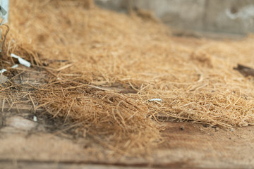 Background and texture of old dry grass hay on wooden background