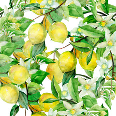 Seamless Pattern lemon on white and color background.