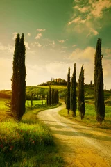 Zelfklevend Fotobehang Toscane Vintage Toscane platteland landschap