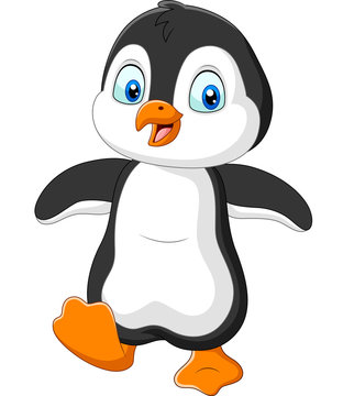 Cute penguin cartoon on white background