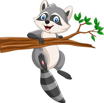 Raccoon Cartoon Images – Browse 33,103 Stock Photos, Vectors, and Video |  Adobe Stock