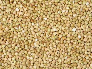 Buckwheat texture high-quality photograph of premium buckwheat groats