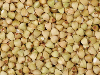 Buckwheat texture high-quality photograph of premium buckwheat groats