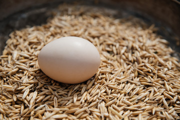 An egg on a pile of oat