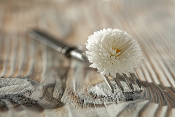 Edible flowers with fork on white wooden table. Free space for your decoration. 