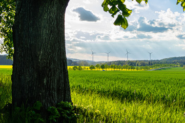 View on Bundesstrasse B178 from Lindenalle (linden alley) near Grosshennersdorf/Germany a small...