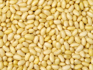 soybean background