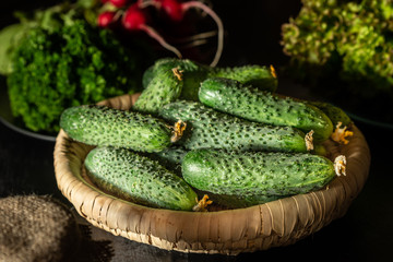 Fresh cucumbers in a basket. Blurred background.