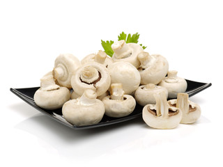 White mushrooms on white background