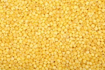 Millet yellow background