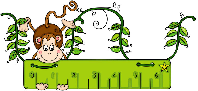 Cute monkey with green ruler on jungle
